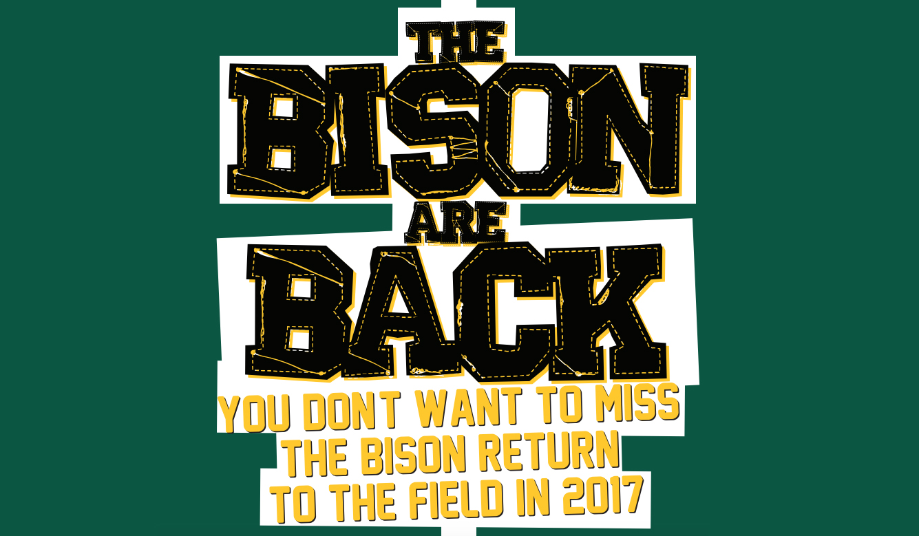 The Bison Are Back