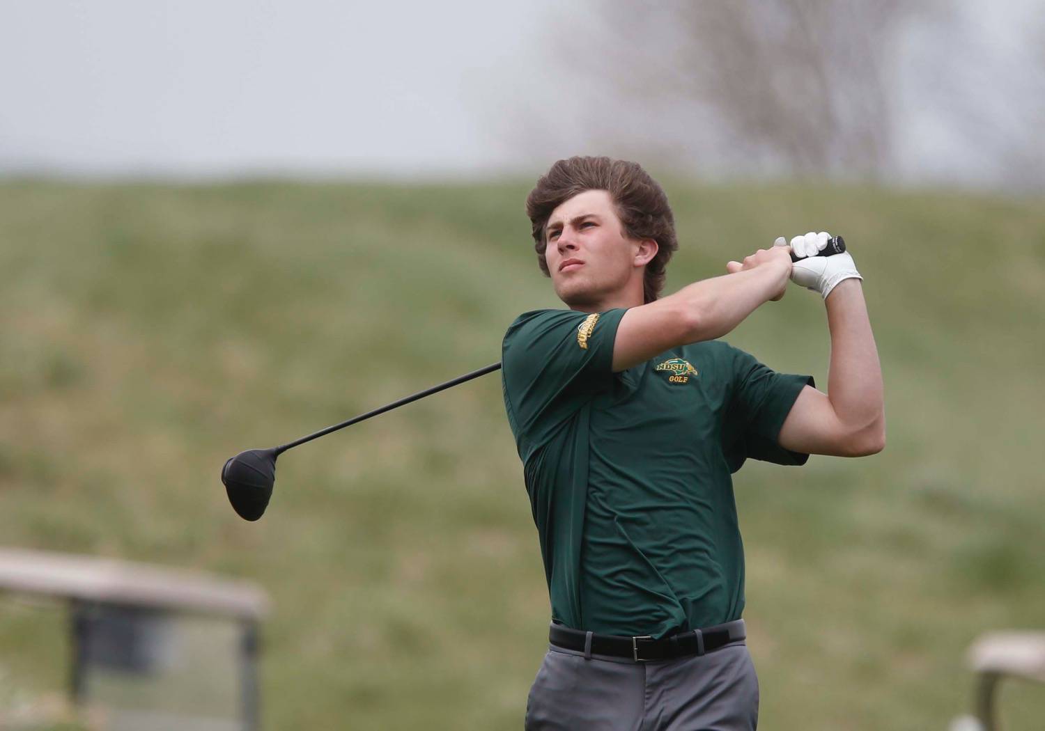 Are You A Bison Men's Golf Scholar?